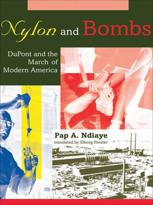 cover image of Nylon and Bombs